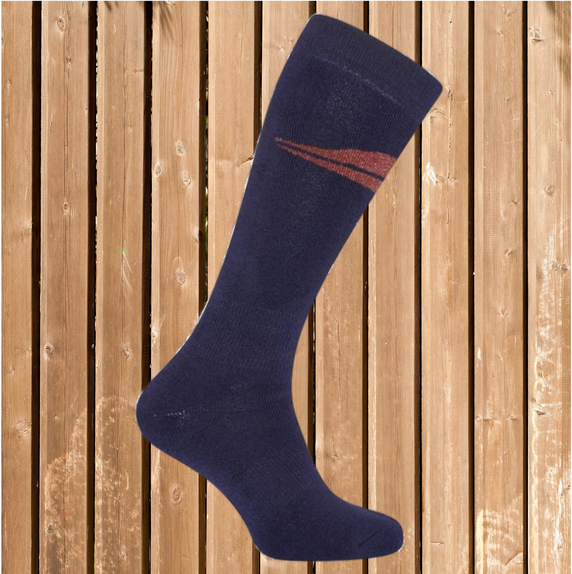 EuroStar Socken Lymee, Winter Reitstrümpfe, Frotteesocken, navy